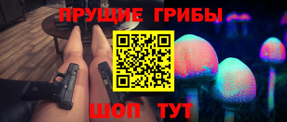Галлюциногенные грибы Psilocybine cubensis Верхний Уфалей